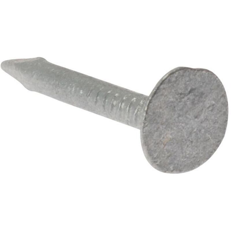 500NLELH25GB Clout Nail Extra Large Head Galvanised 25mm (500g Bag) FORELH25GB50 - Forgefix